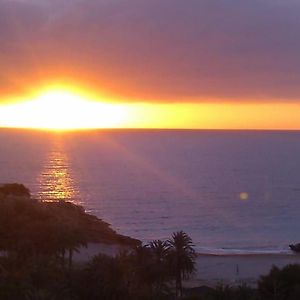 Sol Mediterraneo - Palm Beach 8